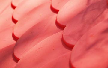 Dedworth plastic roof costs