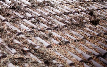 Dedworth roof cleaning companies