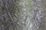 Dedworth fibreglass roof work